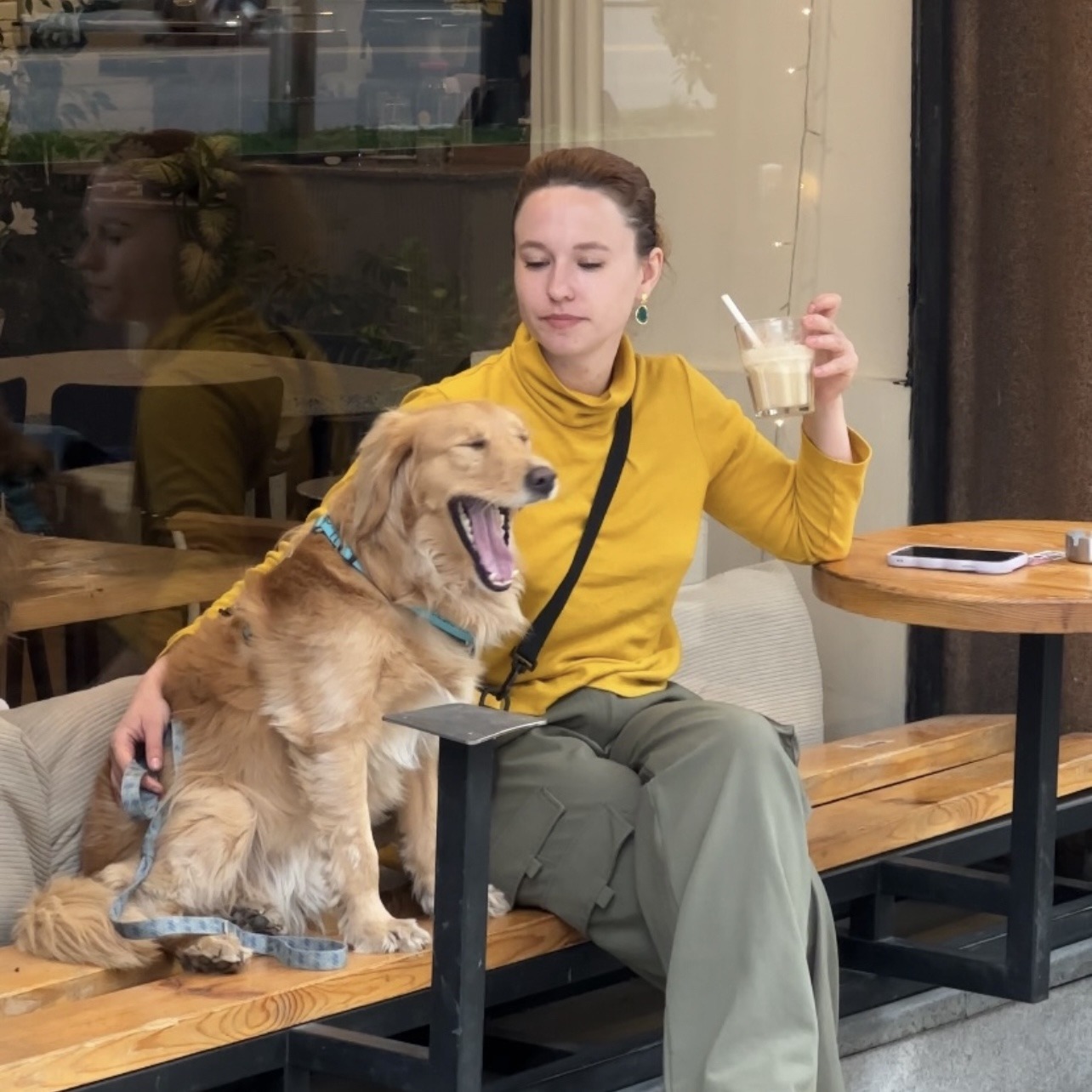 кафе с собаками Тбилиси